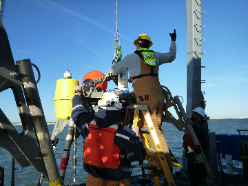 Marine Surveyor Coordination